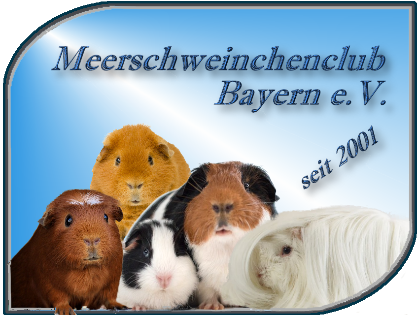 Logo Meerschweinchenclub Bayern